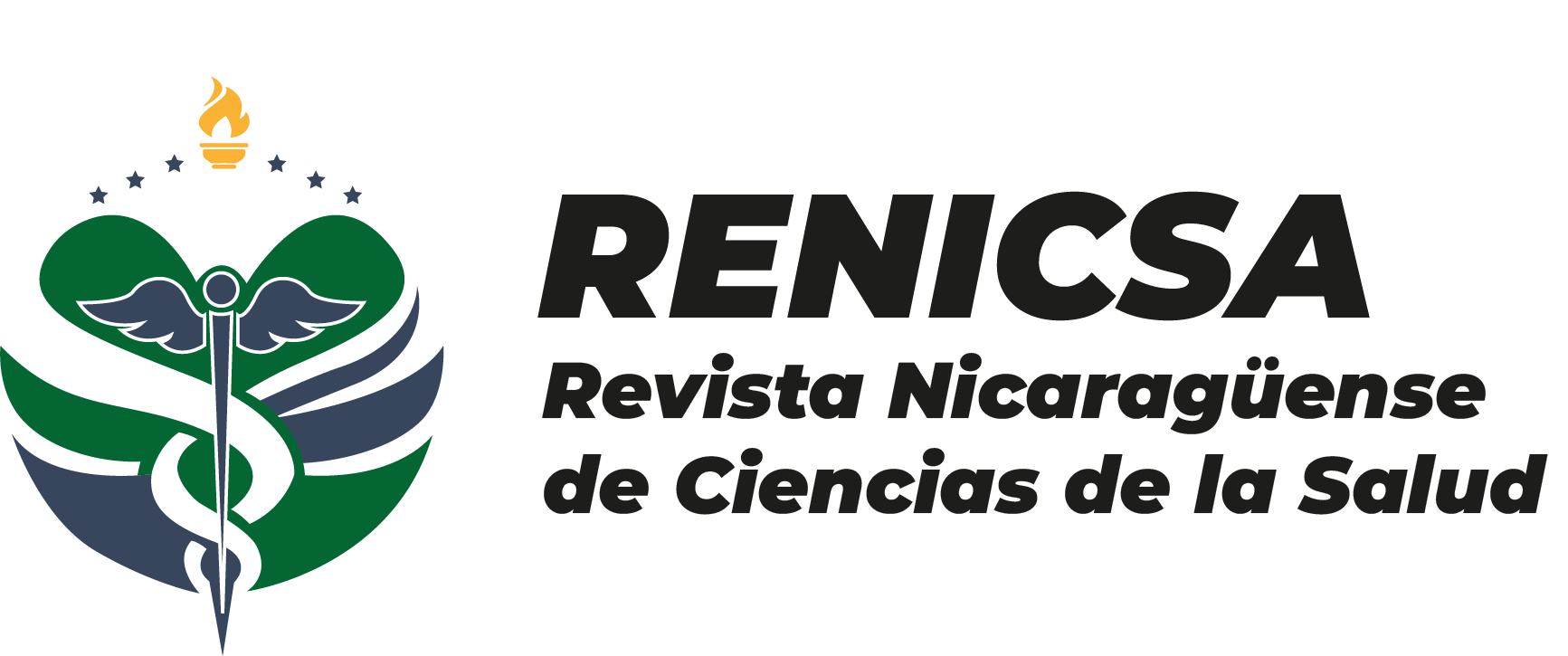 Revista RENICSA