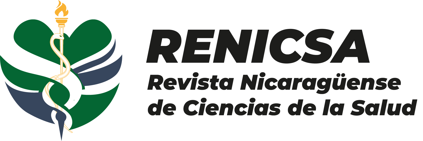 Logotipo de la Revista RENICSA
